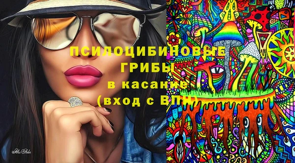 ешки Пересвет