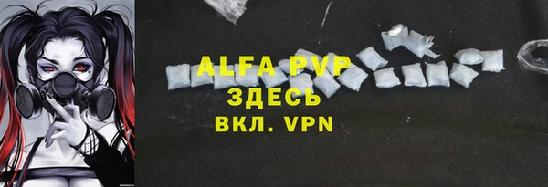 ешки Пересвет