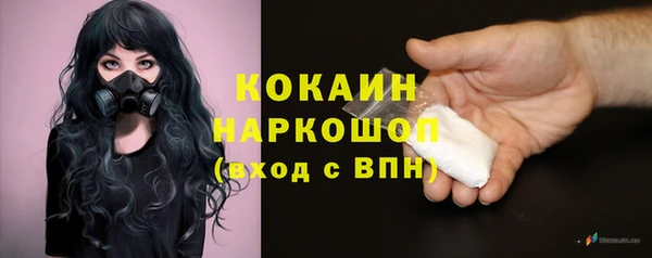 ешки Пересвет