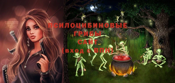ешки Пересвет
