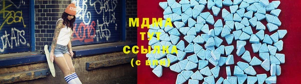 ешки Пересвет