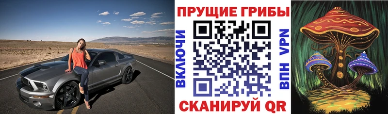 закладки Ртищево Псилоцибиновые грибы ЛСД